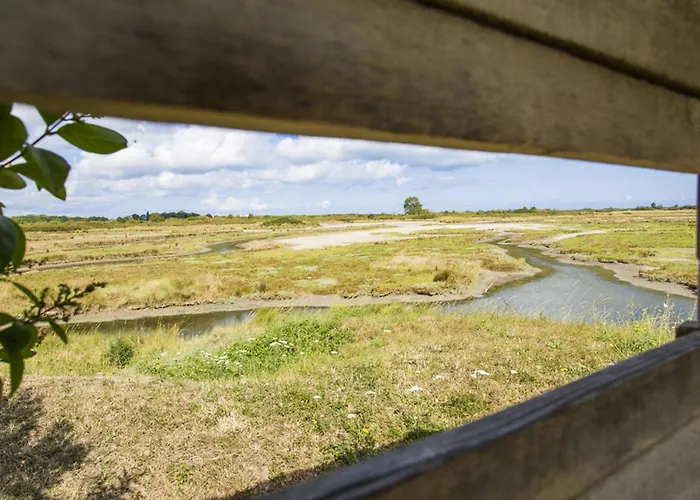 Nyaraló Maison De Plain-pied Avec Jardin Prive Et Terrasse A - Fr-1-788-40 *
